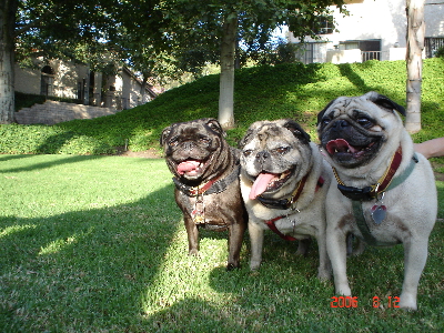 Lilly, Toby, Ricky 010(1).jpg